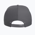 Șapcă Arcteryx Bird Word Trucker black /cloud 3