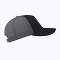 Șapcă Arcteryx Bird Word Trucker black /cloud 4