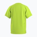 Tricou pentru bărbați Arcteryx Kragg SL Cotton mantis 2