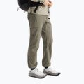 Pantaloni de trekking pentru bărbați Arc'teryx Gamma SL forage 4