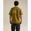 Tricou pentru bărbați Arcteryx Kragg Cotton Logo SS bracken 3