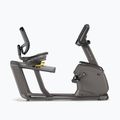 Bicicletă de fitness cu scaun Matrix Recumbent Bike + R30XR, negru, R30XR 2