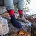 Șosete pentru bărbați Darn Tough VanGrizzle Boot Sock Cushion moose black 6