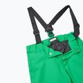 Pantaloni de schi pentru copii Reima Proxima verde 5100099A-8250 3
