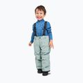 Pantaloni de schi pentru copii Reima Proxima stone green