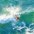 Placă bodyboard Aquatone Buzz 50" 16