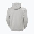 Bluză pentru bărbați Helly Hansen HH Logo Hoodie grey/melange 2