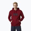 Bluză cu glugă pentru bărbați Helly Hansen HH Logo Hoodie maroon 33977_215