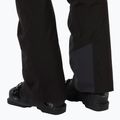 Pantaloni de schi pentru femei Helly Hansen Legendary Insulated Bib black 6