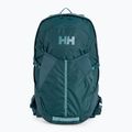 Rucsac turistic Helly Hansen Generator 20 l verde 67341_436