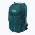 Rucsac turistic Helly Hansen Generator 20 l verde 67341_436 8