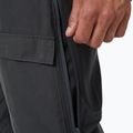 Pantaloni de trekking pentru bărbați Helly Hansen Veir Tur 980 gri 63001 5