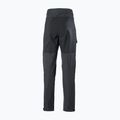 Pantaloni de trekking pentru bărbați Helly Hansen Veir Tur 980 gri 63001 7