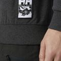 Bluză pentru bărbați Helly Hansen Arctic Ocean Sweater gri 30364_980 3