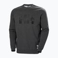 Bluză pentru bărbați Helly Hansen Arctic Ocean Sweater gri 30364_980 4