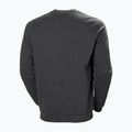 Bluză pentru bărbați Helly Hansen Arctic Ocean Sweater gri 30364_980 5