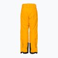 Pantaloni de schi pentru copii Helly Hansen Elements galben 41765_328 2