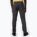 Pantaloni de trekking pentru bărbați Helly Hansen Holmen 5 Pocket 980 gri 62897 2