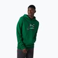 Hanorac de trekking pentru bărbați Helly Hansen F2F F2F Organic Cotton Hoodie 486 verde 62934 3