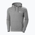 Bluză de trekking pentru bărbați Helly Hansen F2F Organic Cotton 855 gri 62934