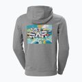 Bluză de trekking pentru bărbați Helly Hansen F2F Organic Cotton 855 gri 62934 2