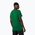 Tricou de trekking pentru bărbați Helly Hansen Nord Graphic 486 verde 62978 2