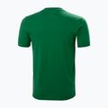 Tricou de trekking pentru bărbați Helly Hansen Nord Graphic 486 verde 62978 5