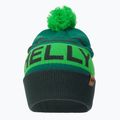 Șapcă Helly Hansen Ridgeline verde 67150_495 2