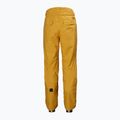Pantaloni de schi pentru bărbați Helly Hansen Sogn Cargo galbeni 65673_328 7