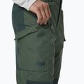 Pantaloni de trekking pentru bărbați Helly Hansen Vandre Tur verde 62698_476 3