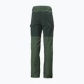 Pantaloni de trekking pentru bărbați Helly Hansen Vandre Tur verde 62698_476 7