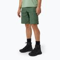 Pantaloni scurți de trekking Helly Hansen pentru bărbați Vandre Cargo verde 62699_476