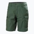 Pantaloni scurți de trekking Helly Hansen pentru bărbați Vandre Cargo verde 62699_476 5