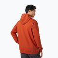 Tricou de trekking pentru bărbați Helly Hansen Nord Graphic Pull Over Hoodie roșu 62975_308 2