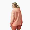 Hanorac de trekking pentru femei Helly Hansen Nord Graphic Pullover Hoodie portocaliu 62981_058 2