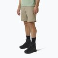 Pantaloni bărbați Helly Hansen Brono Softshell Brono Softshell Zip Off bej 63152_757 5