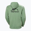 Bluză pentru bărbați Helly Hansen Yu Hoodie 2.0 jade 2.0 2