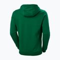 Tricou de trekking pentru bărbați Helly Hansen F2F F2F Hoodie din bumbac organic malachite 5