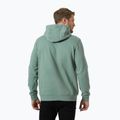 Bluză pentru bărbați Helly Hansen HH Logo Hoodie cactus 2