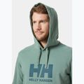 Bluză pentru bărbați Helly Hansen HH Logo Hoodie cactus 3