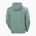 Bluză pentru bărbați Helly Hansen HH Logo Hoodie cactus 6