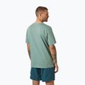Tricou pentru bărbați Helly Hansen HH Logo cactus 2