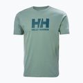 Tricou pentru bărbați Helly Hansen HH Logo cactus 4