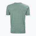 Tricou pentru bărbați Helly Hansen HH Logo cactus 5