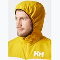 Jachetă de navigație pentru bărbați Helly Hansen Salt Striped Windbreaker gold rush 3
