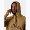 Helly Hansen Nord Graphic Pull Over Hoodie pentru bărbați lynx 3