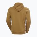 Helly Hansen Nord Graphic Pull Over Hoodie pentru bărbați lynx 6