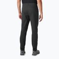 Pantaloni de trekking pentru bărbați Helly Hansen Vika Tur Pant 2.0 negru 2