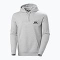 Bluză pentru bărbați Helly Hansen Nord Graphic Pull Over Hoodie grey melange 2