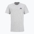 Tricou pentru bărbați Helly Hansen Nord Graphic grey melang